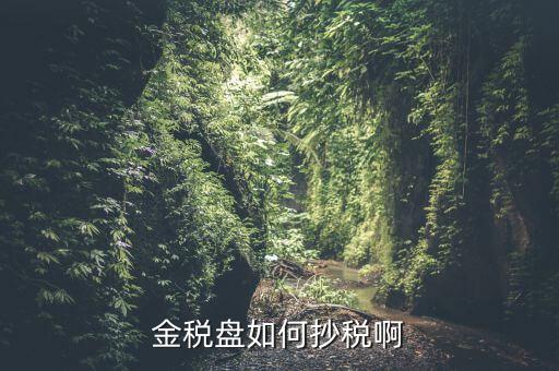 金稅盤如何抄報(bào)稅，金稅盤如何抄稅啊