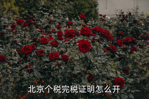 北京如何打印個人所得稅完稅證明，北京個稅完稅證明怎么開
