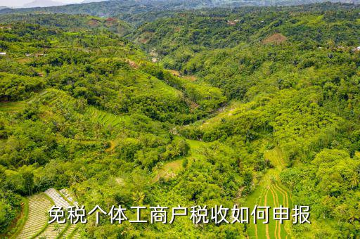 免稅個(gè)體工商戶(hù)稅收如何申報(bào)
