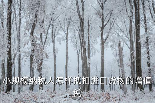 小規(guī)模如何抵扣進(jìn)項(xiàng)，小規(guī)模增值稅怎么抵扣
