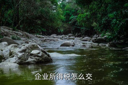 企業(yè)所得稅如何繳納，企業(yè)所得稅如何繳納
