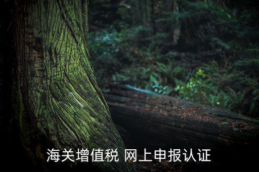 海關(guān)增值稅 網(wǎng)上申報認證