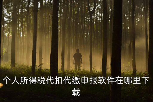 代扣代繳國(guó)稅如何申報(bào)系統(tǒng)下載，國(guó)稅增值稅小規(guī)模稅務(wù)電子申報(bào)軟件在哪里下載呢