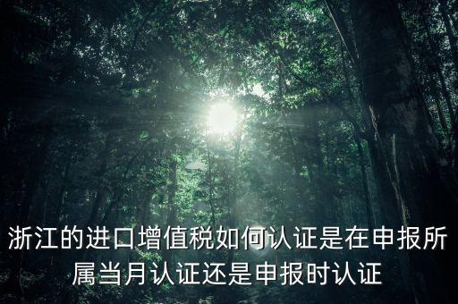 浙江國(guó)稅進(jìn)口發(fā)票如何認(rèn)證，浙江的進(jìn)口增值稅如何認(rèn)證是在申報(bào)所屬當(dāng)月認(rèn)證還是申報(bào)時(shí)認(rèn)證