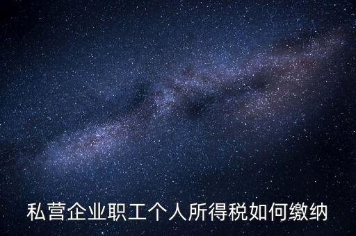 公司如何交個人所得稅，公司給員工發(fā)工資應該怎么繳納個稅啊比如