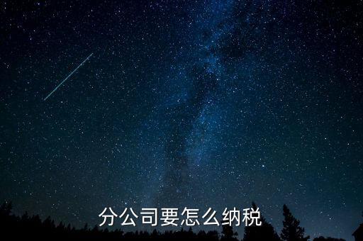 分支機(jī)構(gòu)如何納稅，分支機(jī)構(gòu)增值稅怎樣繳納