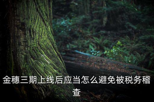 金稅三期如何防稽查，那如何預(yù)防稅局的稽查呢
