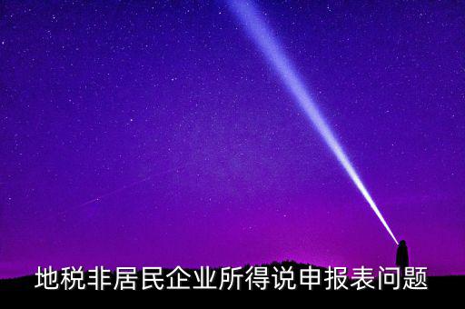 扣繳非居民所得稅報(bào)告表指什么，扣繳個(gè)人所得稅報(bào)告表30