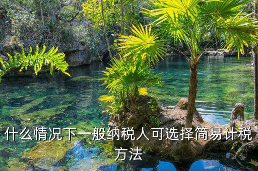 什么情況下一般納稅人可選擇簡易計稅方法