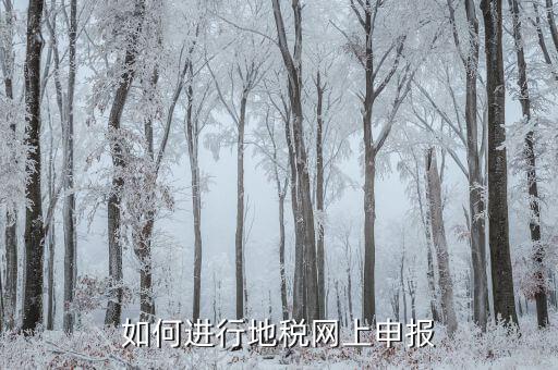 地稅如何進(jìn)行網(wǎng)上申報，如何進(jìn)行地稅網(wǎng)上申報
