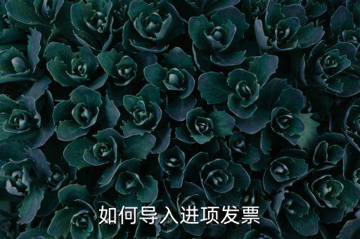 如何導(dǎo)入發(fā)票，如何導(dǎo)入進項發(fā)票