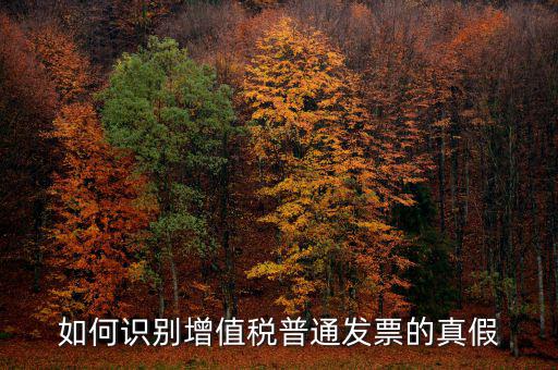 普票如何辨別真假，普通發(fā)票怎么查真?zhèn)?/></a></span><span id=
