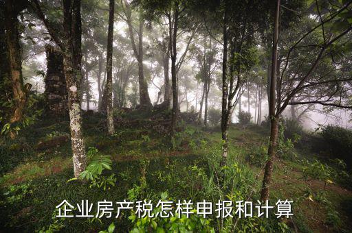 企業(yè)房產(chǎn)稅如何申報，企業(yè)何如申報房產(chǎn)稅