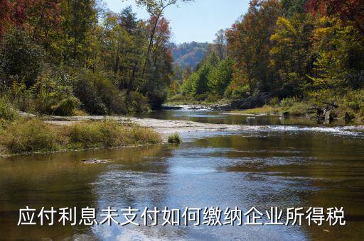 應付未付的專利權如何計算企業(yè)所得稅，企業(yè)所得稅的計算方法