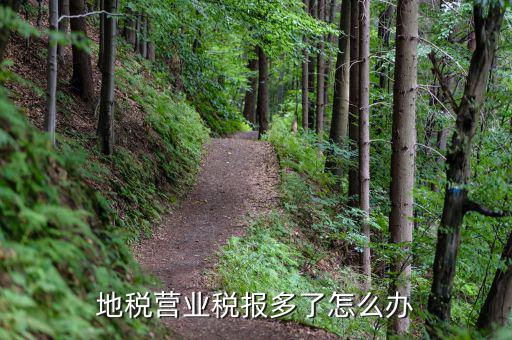 營業(yè)稅多交了如何處理，營業(yè)稅改征增值稅后多交的營業(yè)稅怎么辦交增值稅了不繳納營業(yè)
