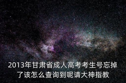 甘肅省如何查號(hào)，2013年甘肅省成人高考考生號(hào)忘掉了該怎么查詢到呢請(qǐng)大神指教