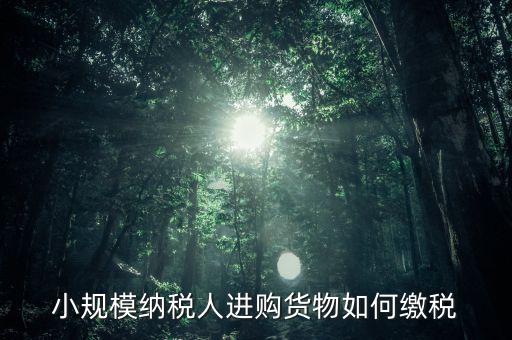 小規(guī)模納稅人如何交稅，小規(guī)模納稅人進(jìn)購(gòu)貨物如何繳稅