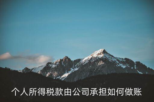 個稅公司承擔 如何報銷，個人所得稅款由公司承擔如何做賬