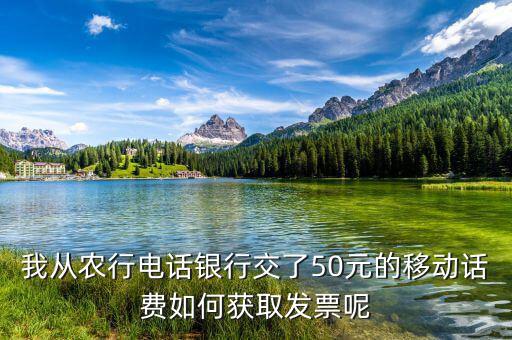 湖北移動(dòng)電子發(fā)票如何獲取，中國(guó)移動(dòng)手機(jī)帳單電子發(fā)票怎么樣下載