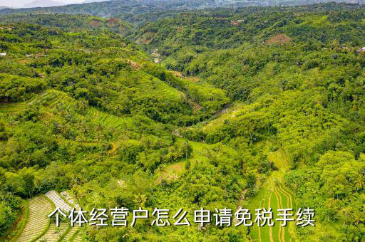 如何申請個體工商戶免稅，個體經(jīng)營戶怎么申請免稅手續(xù)