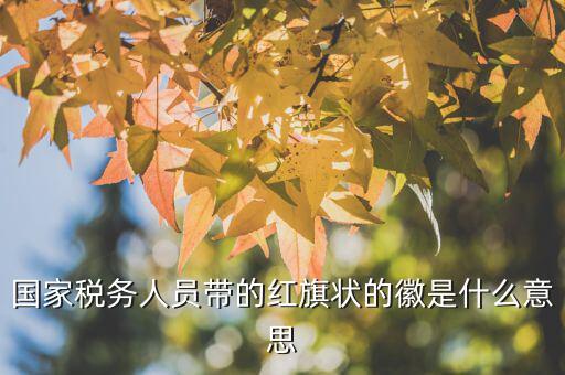 如何佩戴稅務(wù)肩章，地稅局人員的肩章