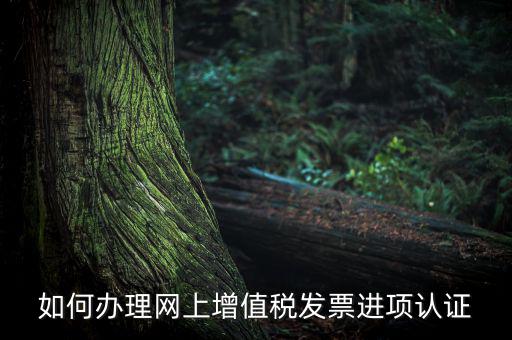 如何辦理網(wǎng)上增值稅發(fā)票進(jìn)項認(rèn)證