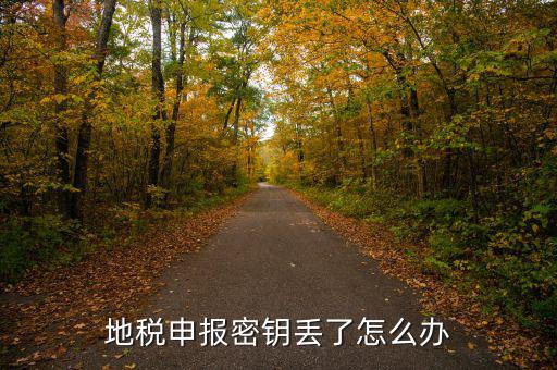 武漢地稅密鑰如何補辦，地稅報稅key掉了補辦需要什么手續(xù)要多少錢