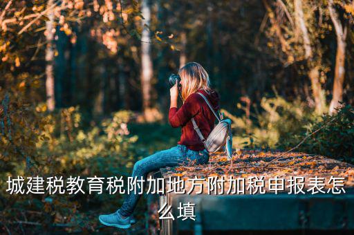 新城建稅附加表如何填，網(wǎng)上申報城建稅教育附加稅怎么填