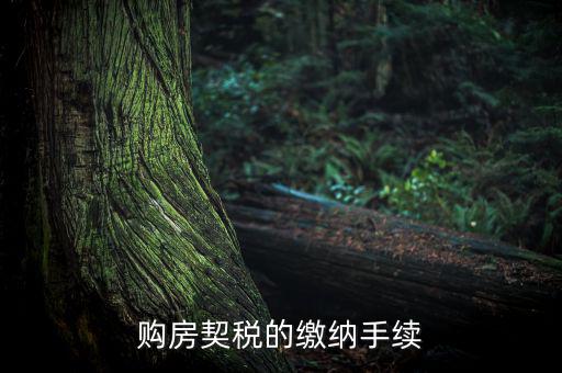 如何繳納契稅，購房契稅的繳納手續(xù)
