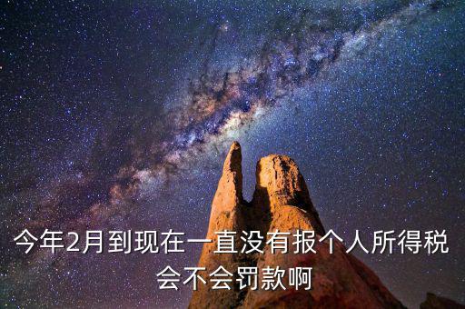 個(gè)稅申報(bào)不報(bào)會(huì)如何，個(gè)人所得稅自行申報(bào)不去做有什么危害