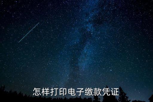 如何打印繳費(fèi)憑證，如何打印之前的繳費(fèi)憑證