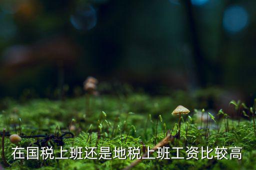 地稅局發(fā)展如何，我要考天津稅務(wù)局想問市區(qū)各地稅局和濱海地稅一分局哪個好呢
