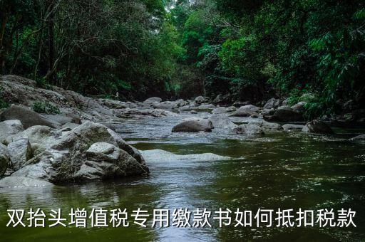 代理進(jìn)口雙抬頭增值稅如何抵扣，海關(guān)稅單雙抬頭 增值稅抵扣問(wèn)題