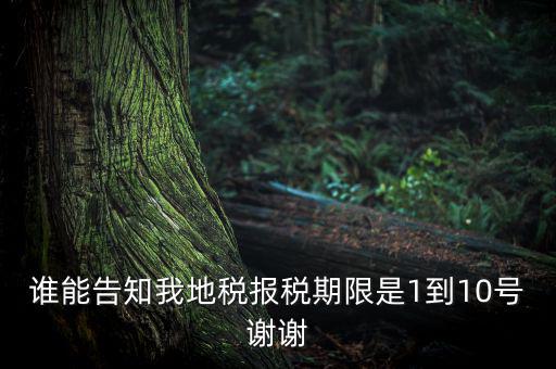 地稅的報(bào)稅期是什么時(shí)候，地稅中的年度財(cái)務(wù)報(bào)表申報(bào)期限是什么時(shí)候
