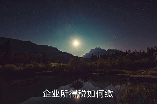 企業(yè)所得稅如何繳稅，企業(yè)所得稅如何繳納