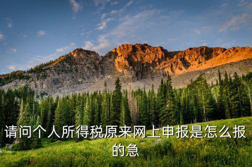 個(gè)人所得稅如何網(wǎng)上申報(bào)，個(gè)人所得稅網(wǎng)上申報(bào)流程