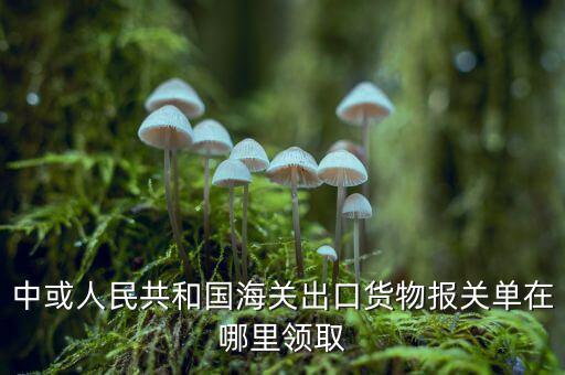 出口報關(guān)單如何取得，中或人民共和國海關(guān)出口貨物報關(guān)單在哪里領(lǐng)取