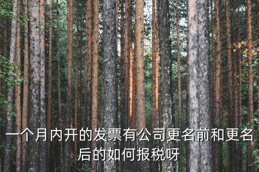 一個月內開的發(fā)票有公司更名前和更名后的如何報稅呀