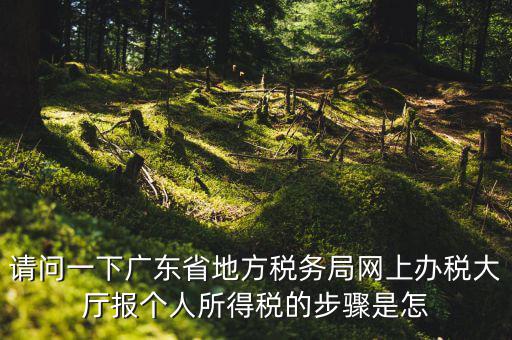 廣州地稅如何網(wǎng)上申報，想請教如何辦理廣州地稅網(wǎng)上申報