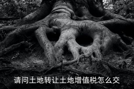 土地增值稅如何繳納，請(qǐng)問(wèn)土地轉(zhuǎn)讓土地增值稅怎么交