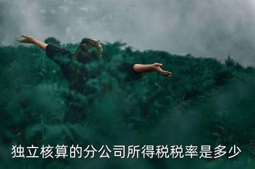 獨(dú)立核算的分公司如何納稅，誰(shuí)知道獨(dú)立核算的同城分公司如何繳稅