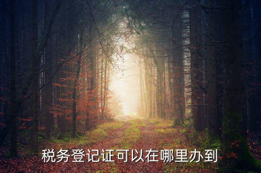 如何辦理稅種登記，辦好營(yíng)業(yè)執(zhí)照后怎么辦理稅務(wù)登記證