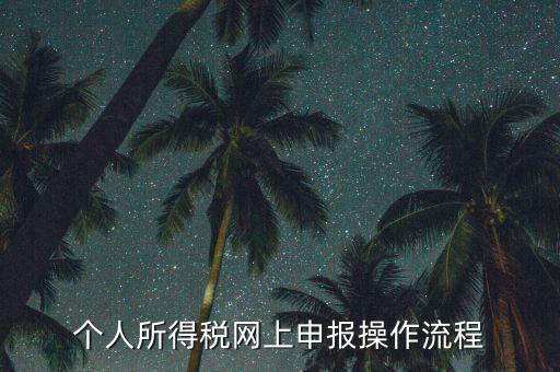 上海個人所得稅如何申報，上海企業(yè)如何交個人所得稅