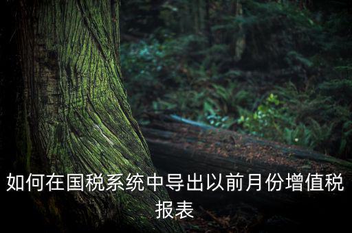 如何導(dǎo)出增值稅申報表，如何在國稅系統(tǒng)中導(dǎo)出以前月份增值稅報表