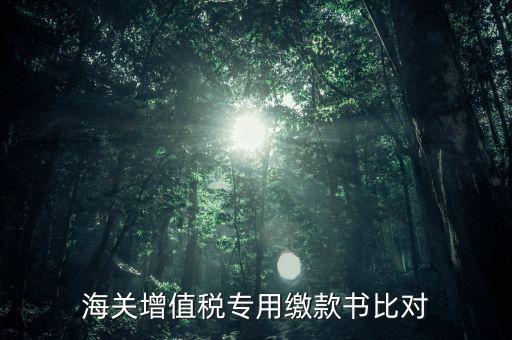 海關(guān)進(jìn)口增值稅專用繳款書如何比對(duì)，海關(guān)增值稅專用繳款書比對(duì)