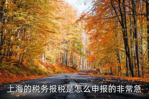 上海市國(guó)地稅如何申報(bào)，上海地稅是網(wǎng)上報(bào)稅嗎采取什么方式申報(bào)