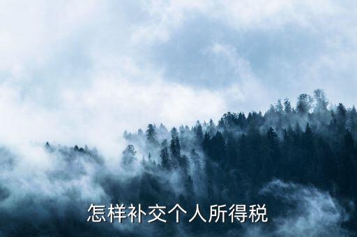 如何補(bǔ)交個(gè)人所得稅，如何用個(gè)人所得稅扣繳系統(tǒng)補(bǔ)繳稅款