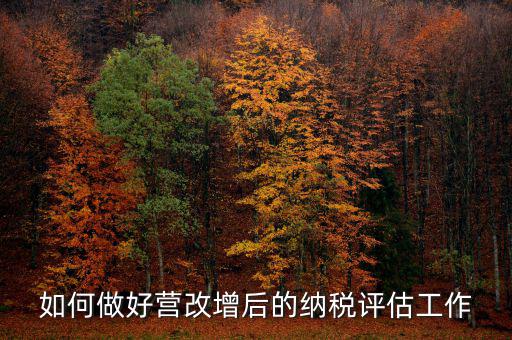 如何做好納稅評(píng)估，企業(yè)納稅評(píng)估的方式方法