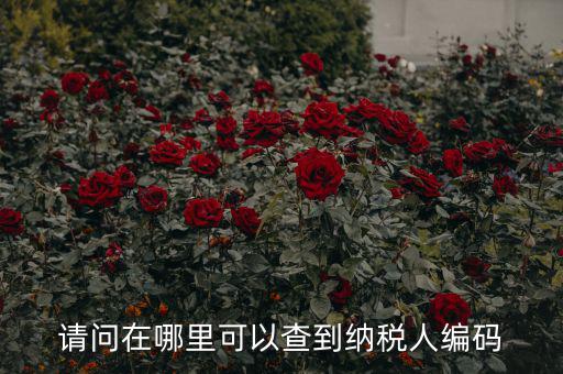 教您如何查詢納稅人代碼，忘記稅務征收機關代碼