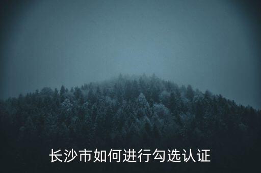 長沙市如何進行勾選認(rèn)證